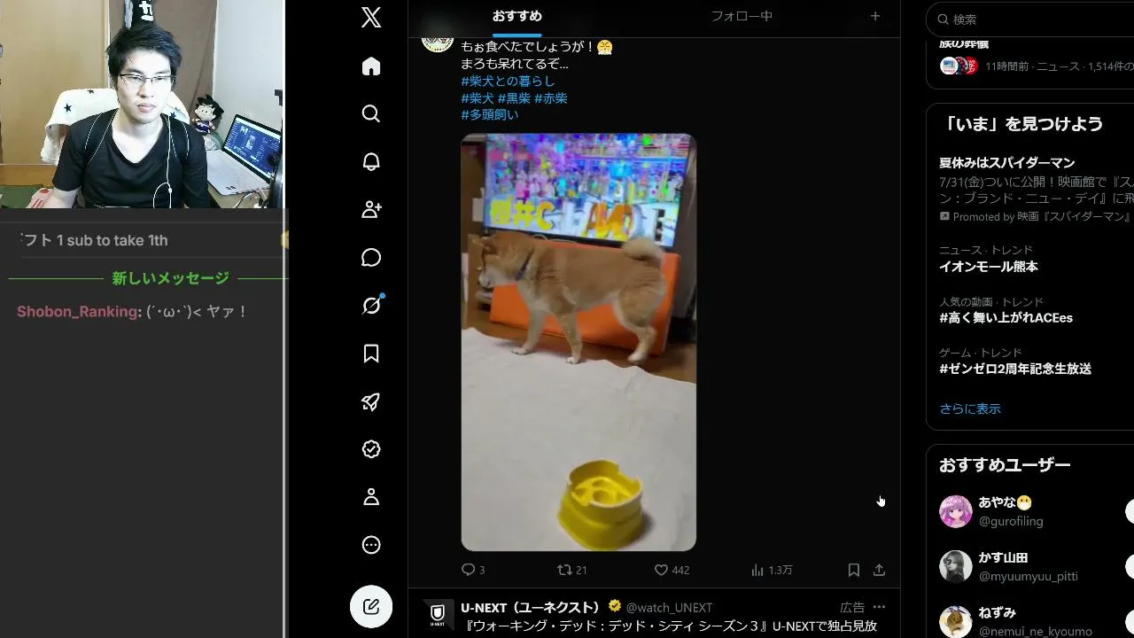 かすてらとシャドーが味海苔がやめられなくて虐待、犬を