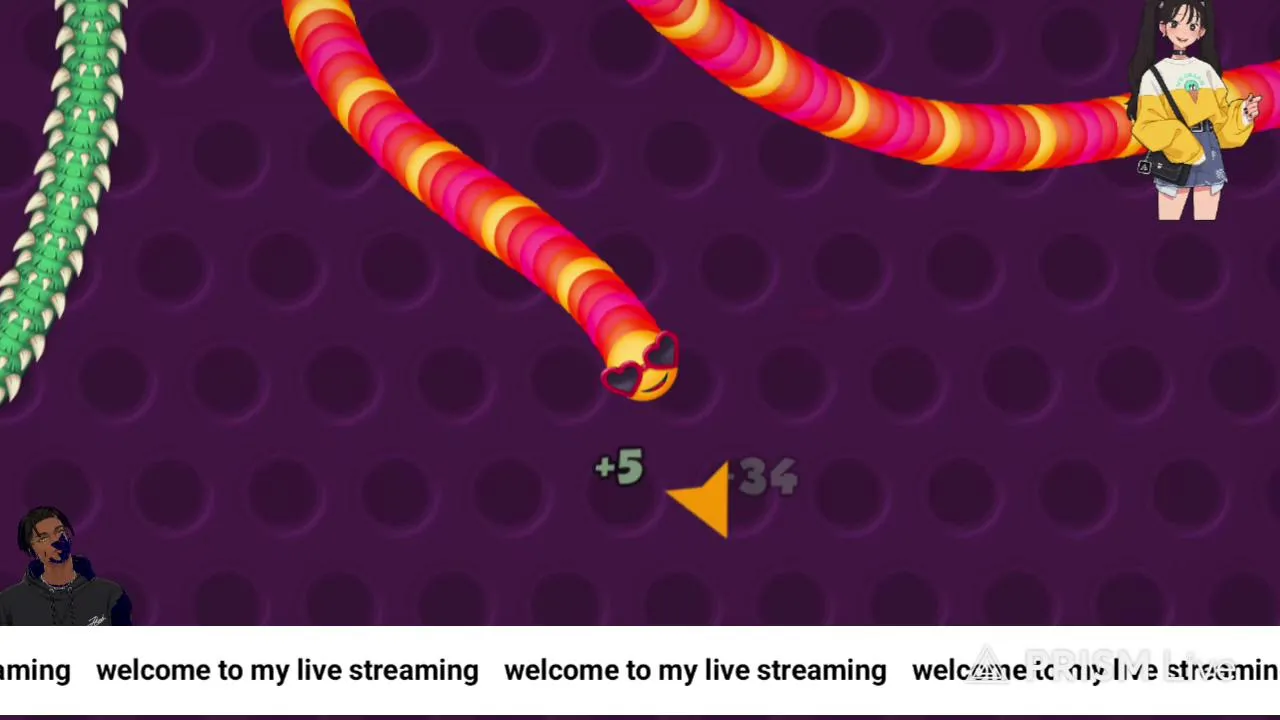 Live streaming of reinhardmarak worms