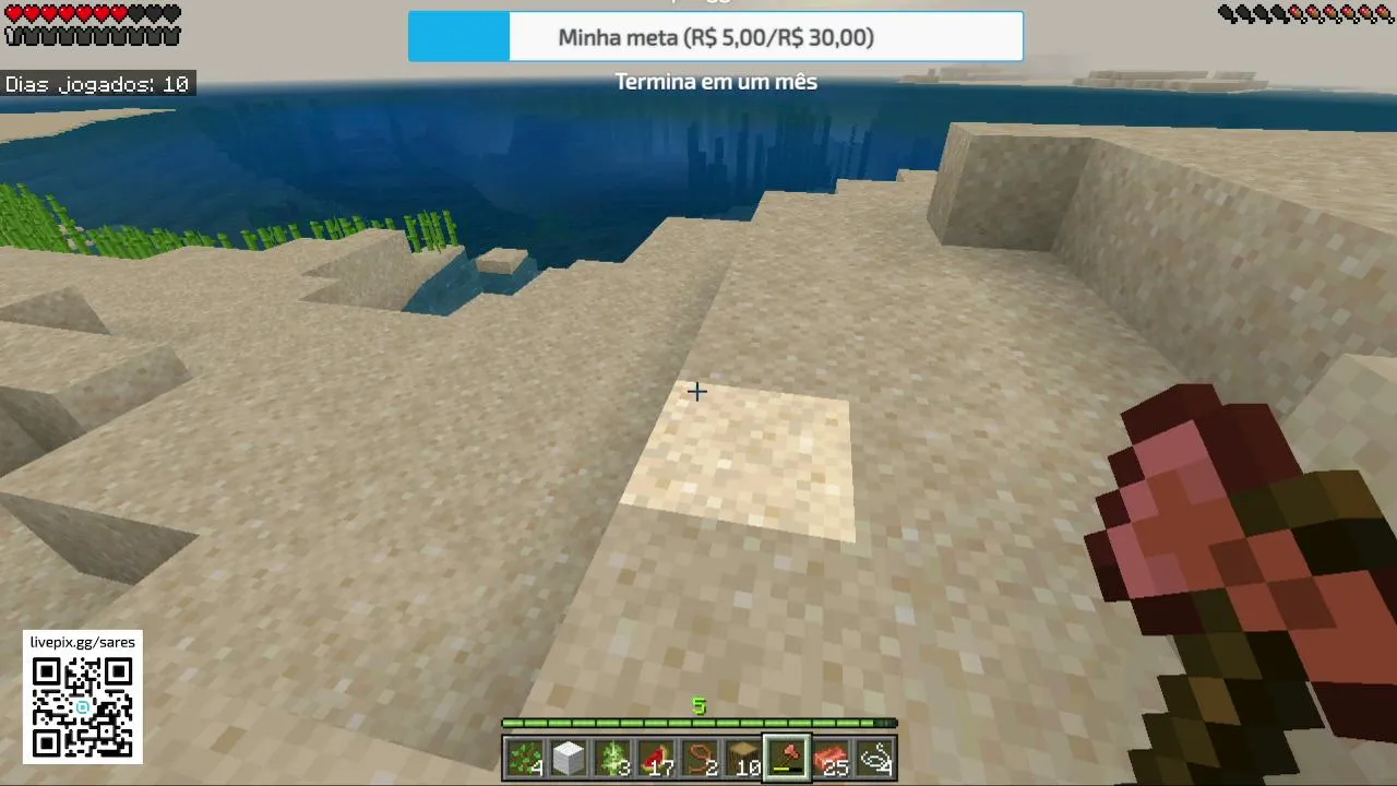 MINECRAFT SURVIVAL EP:1