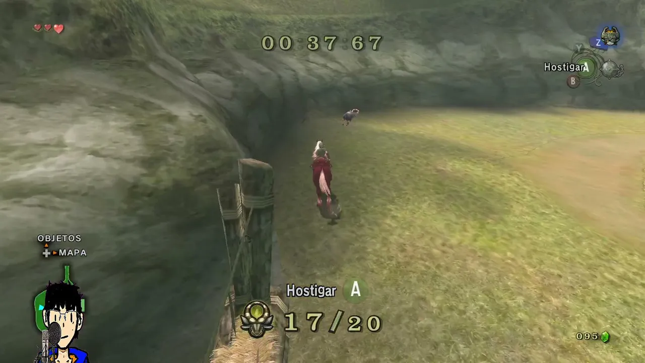 ZELDA TWILIGHT PRINCESS RANDOM