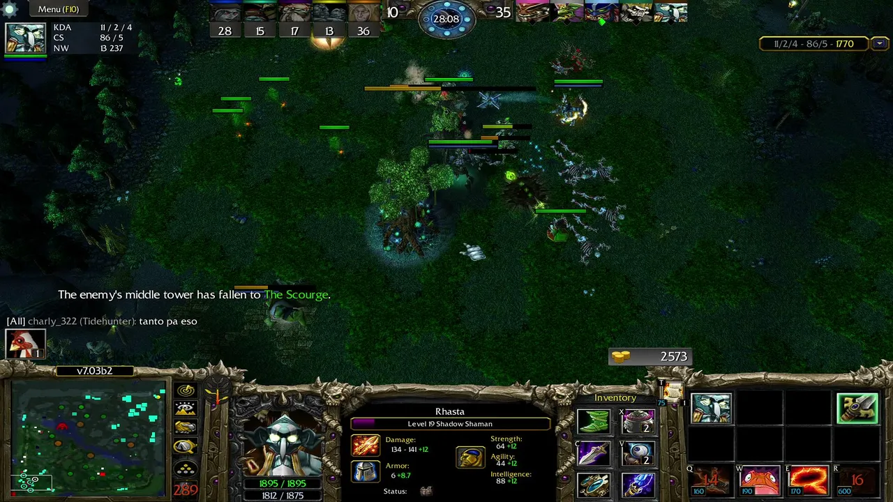 Dota?