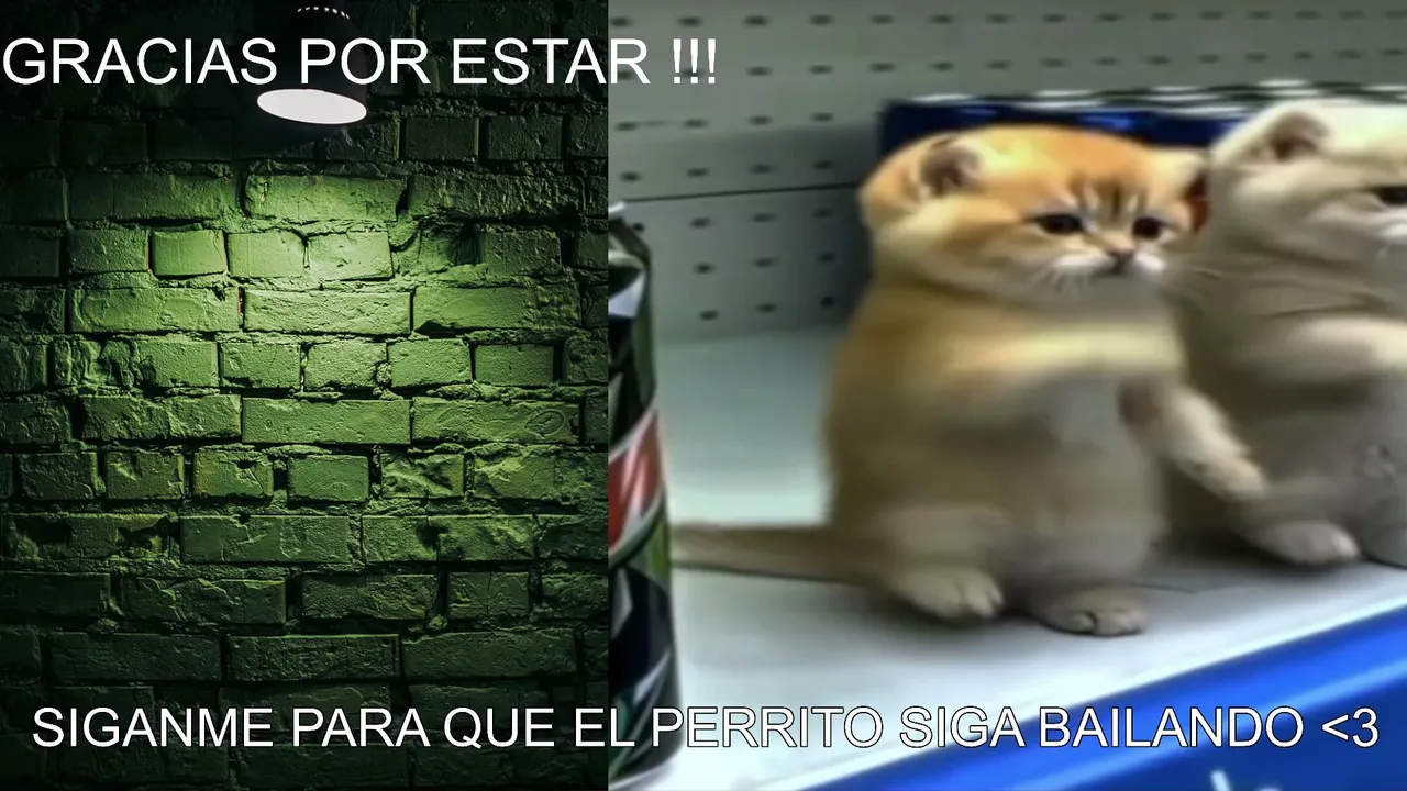 ultimo dia entrenando con 21 anos (mejorando en los ambitos de la vida) - chat de voz !s