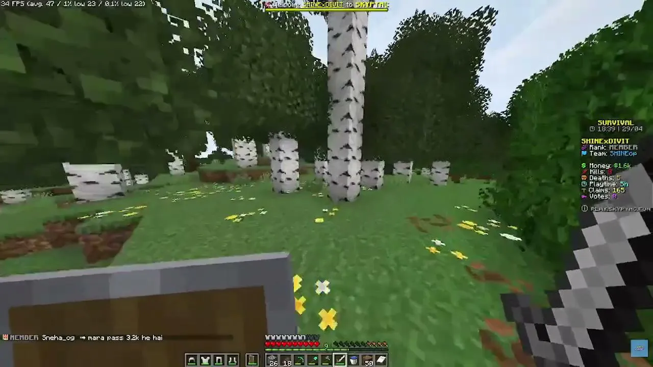 Minecraft - Minecraft Public SMP Live On KICK