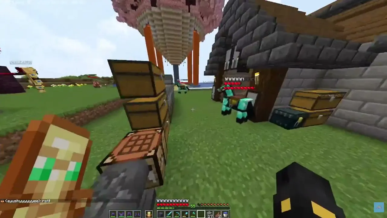 Minecraft - Minecraft Public SMP Live On KICK