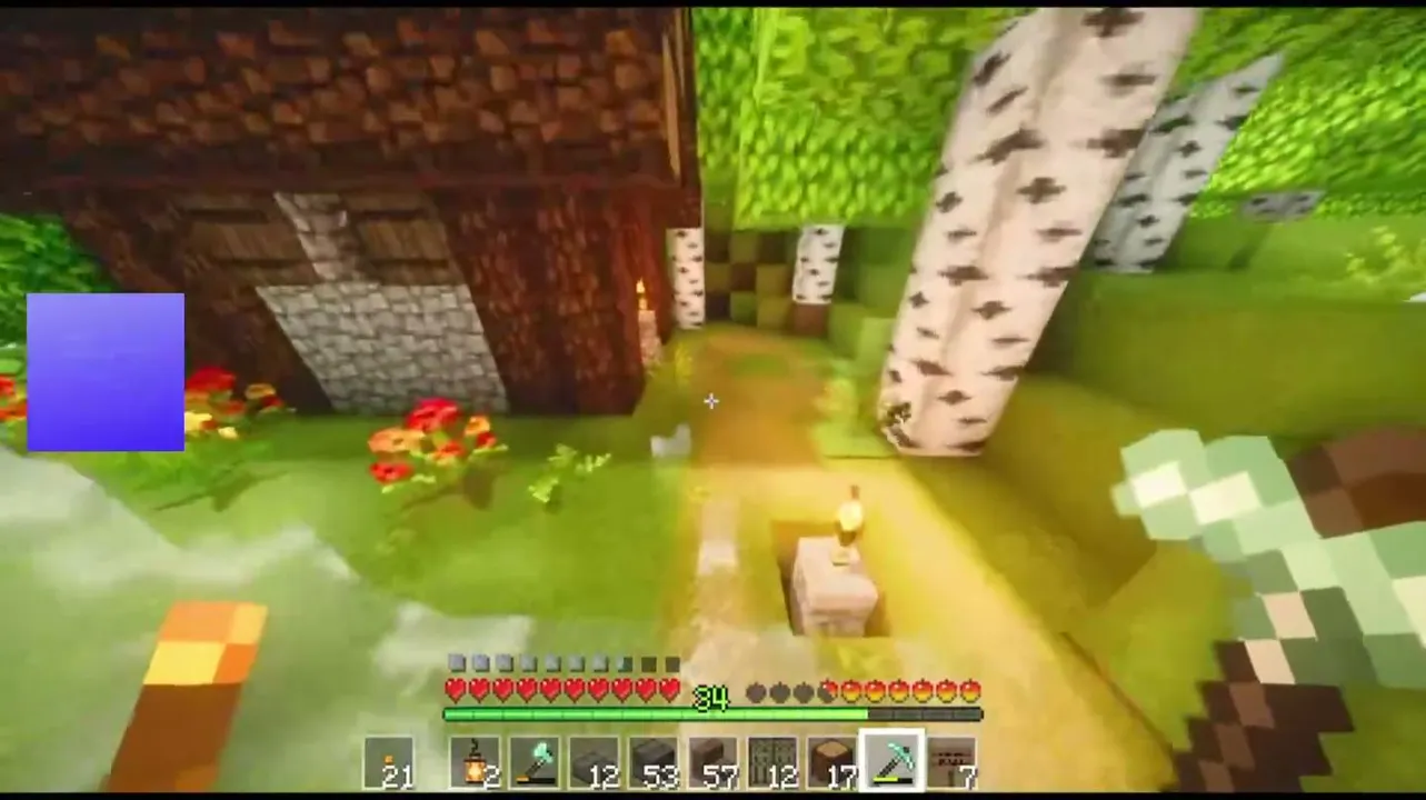 ❤️ gamplay minecraft