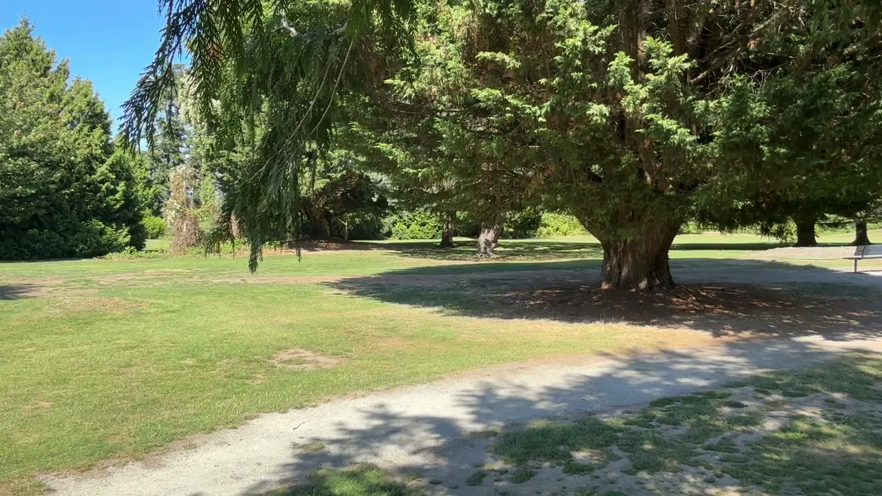 Beginner golfers on the road to glory  Mylora golf course Vancouver bc⛳️🏌🏻