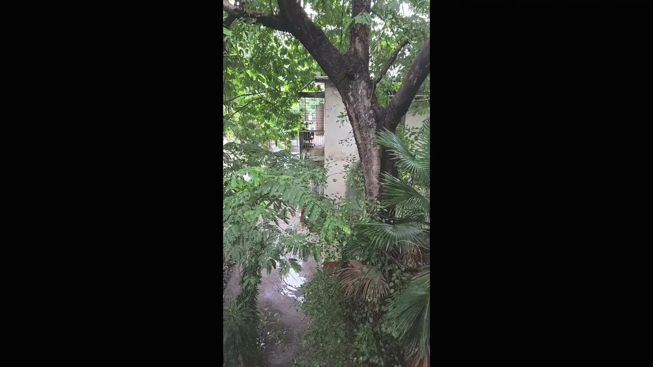 My first stream.