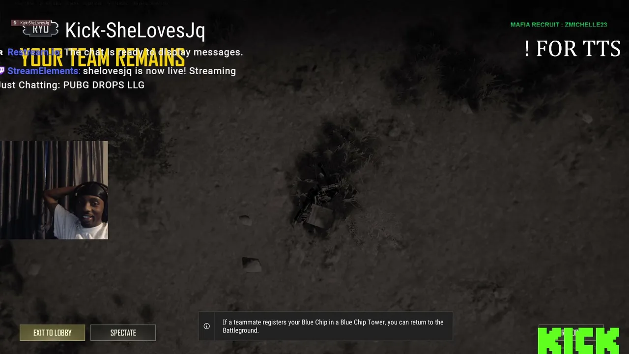 PUBG DROPS LLG