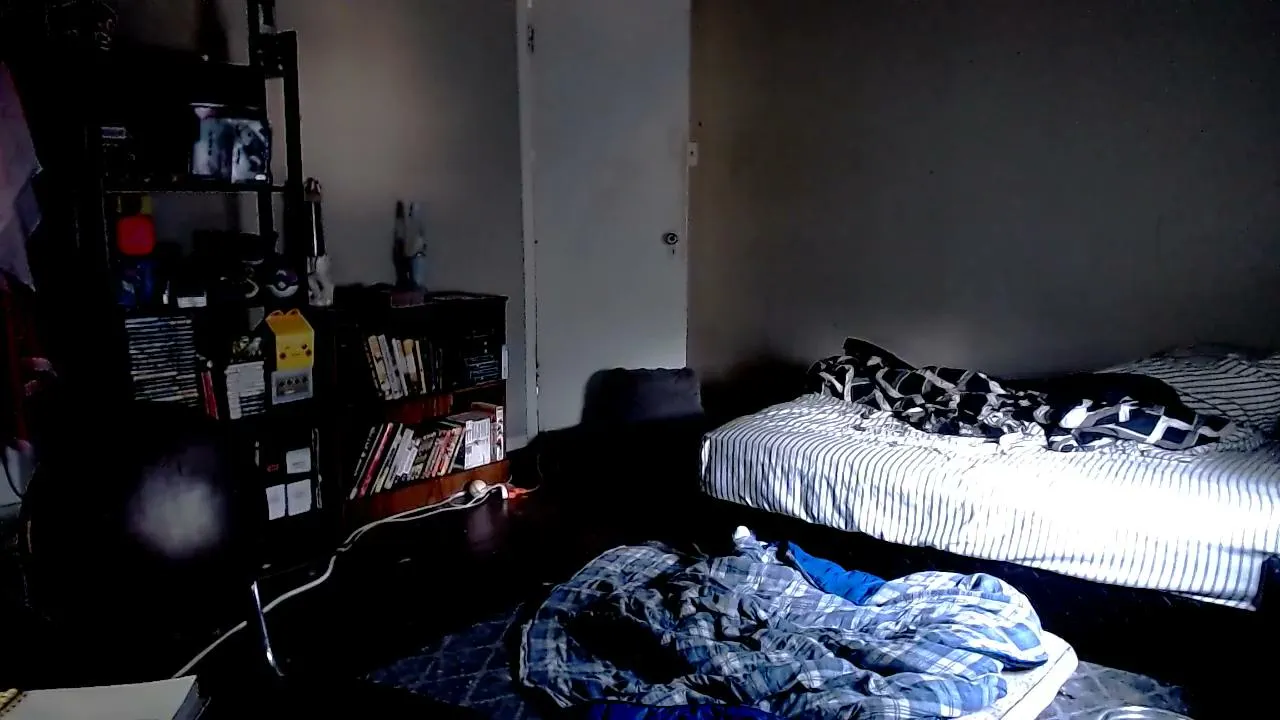 ✨ Pet Cam ✨