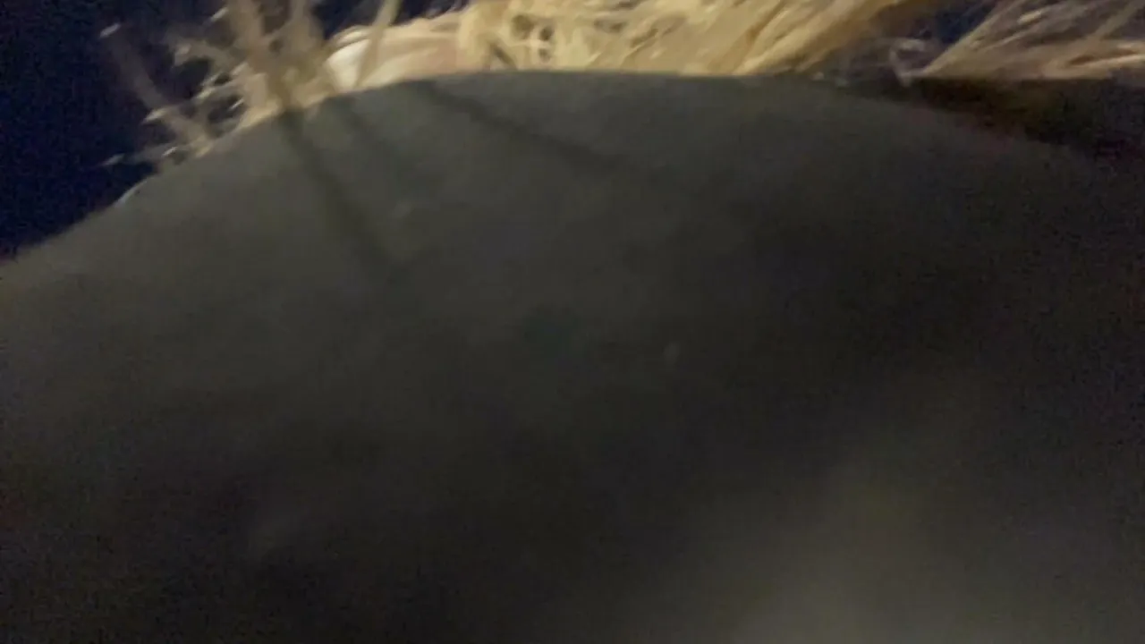 My first stream.