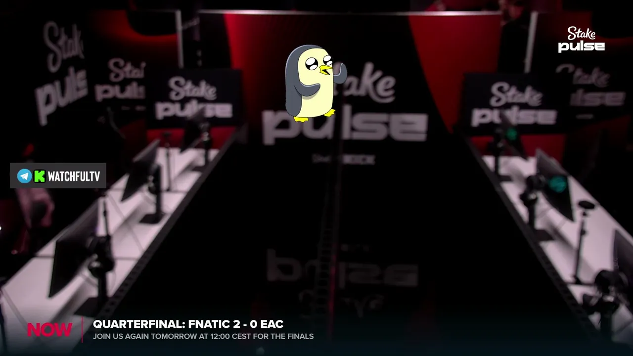 [RU] fnatic vs EAC | Stake Pulse Beat | Telegram: @watchfulTV