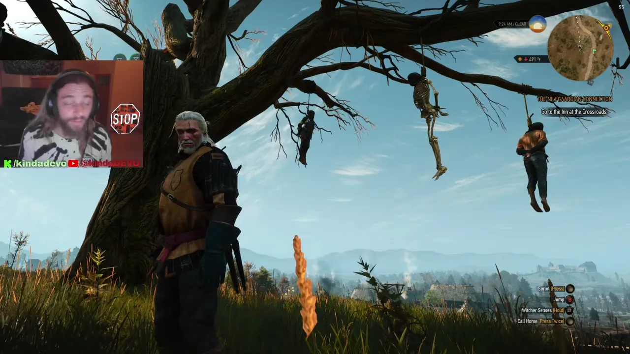this is Temeria!! | WITCHER 3 (2)