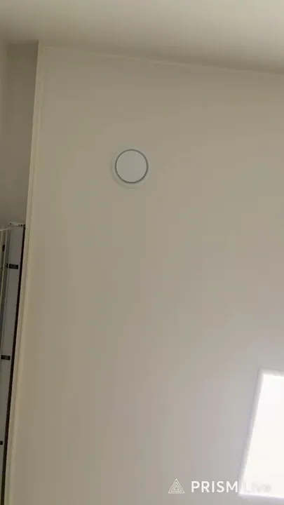 Transmisión en directo de HELLOMYNAMEISEUNZZANG3456