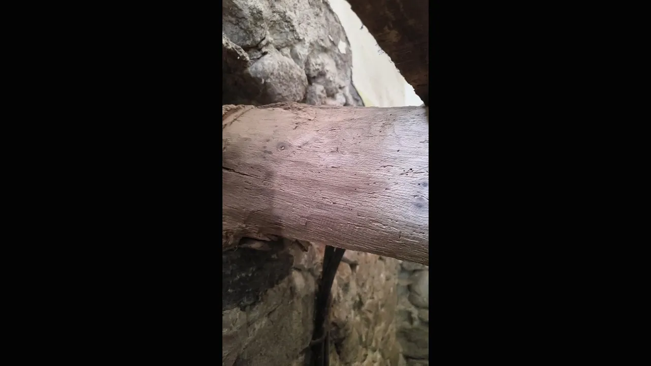 Día 3 | Rescatando una viga antigua de 100 años. part 2 (De basura a obra maestra) 🪵✨