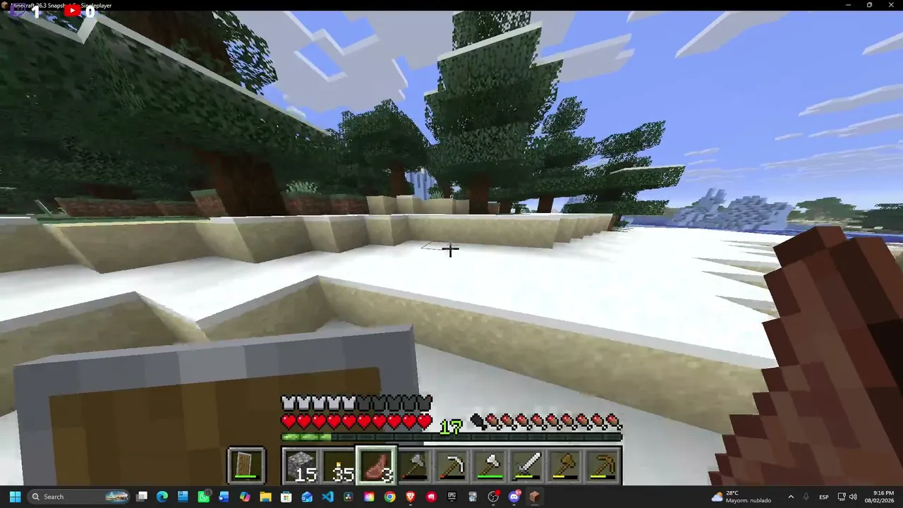JUGANDO MINECRAFT