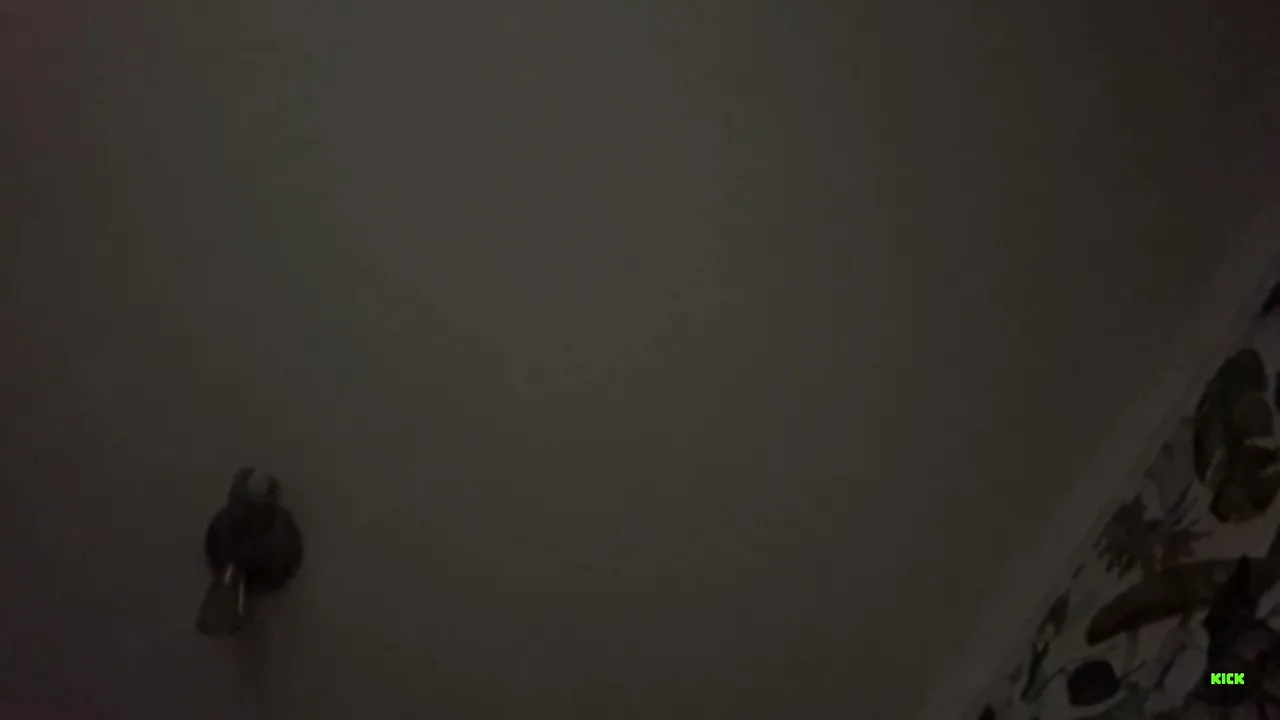 My first stream.