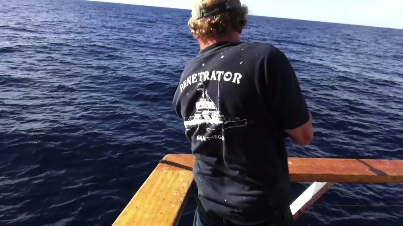 Inside Sportfishing 24/7 🔴 Every Episode Ever | Saltwater & Freshwater Action!