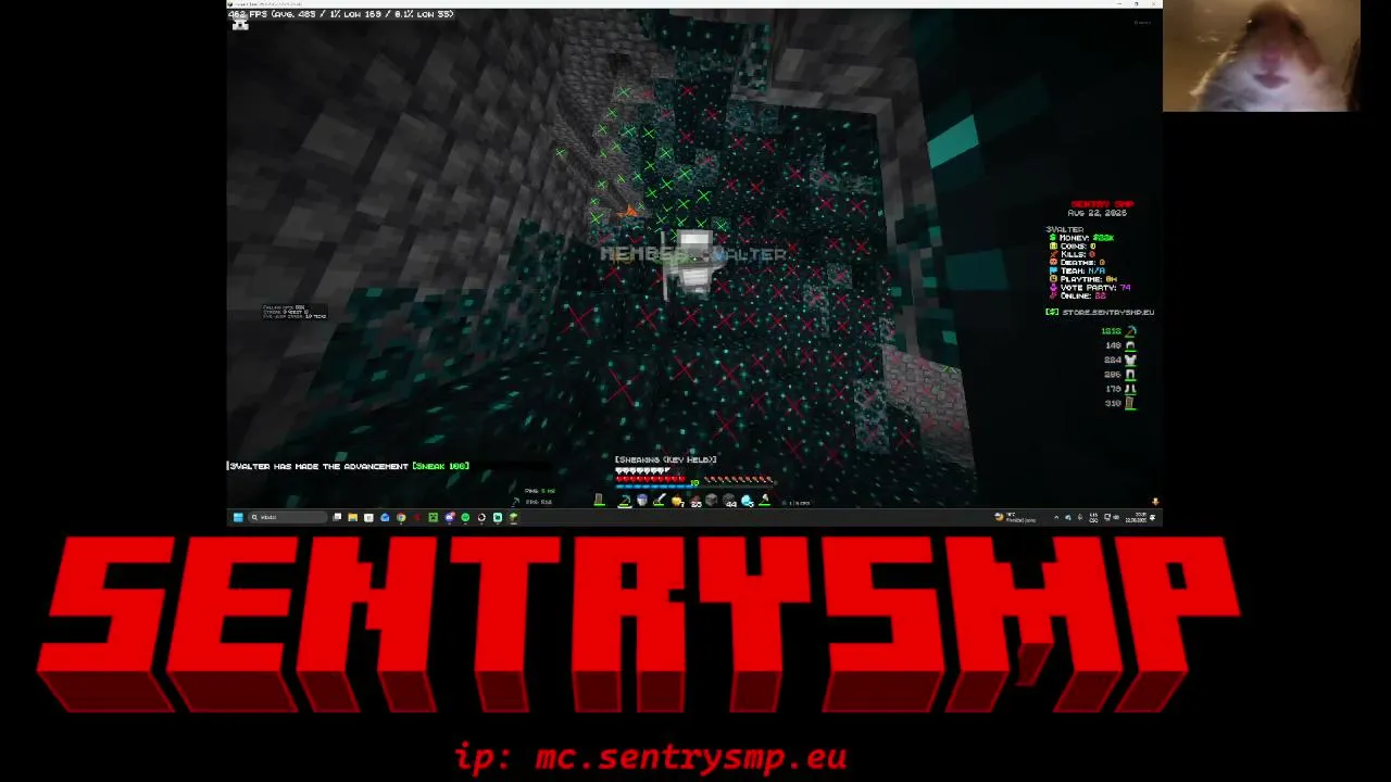 sentry smp