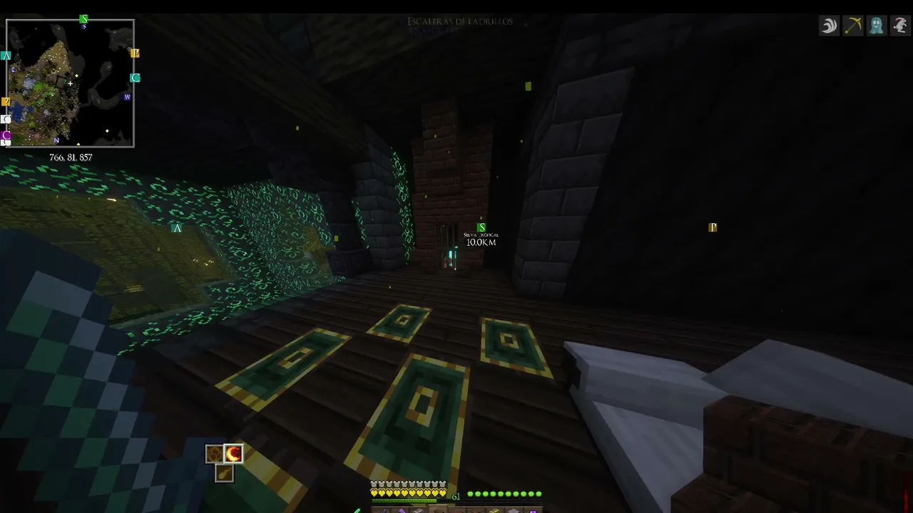 jugando en zetopia