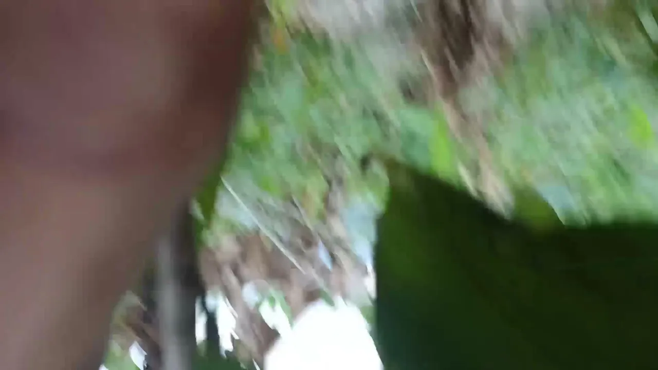 el camino después de la lluvia ☔️