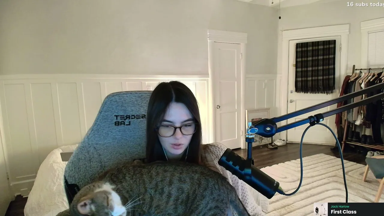 yo yo yo