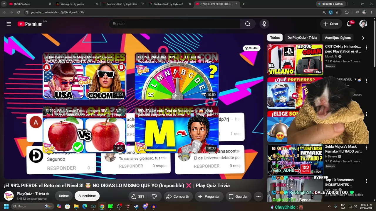 yo solo veo a puro streamer indie como natalan we