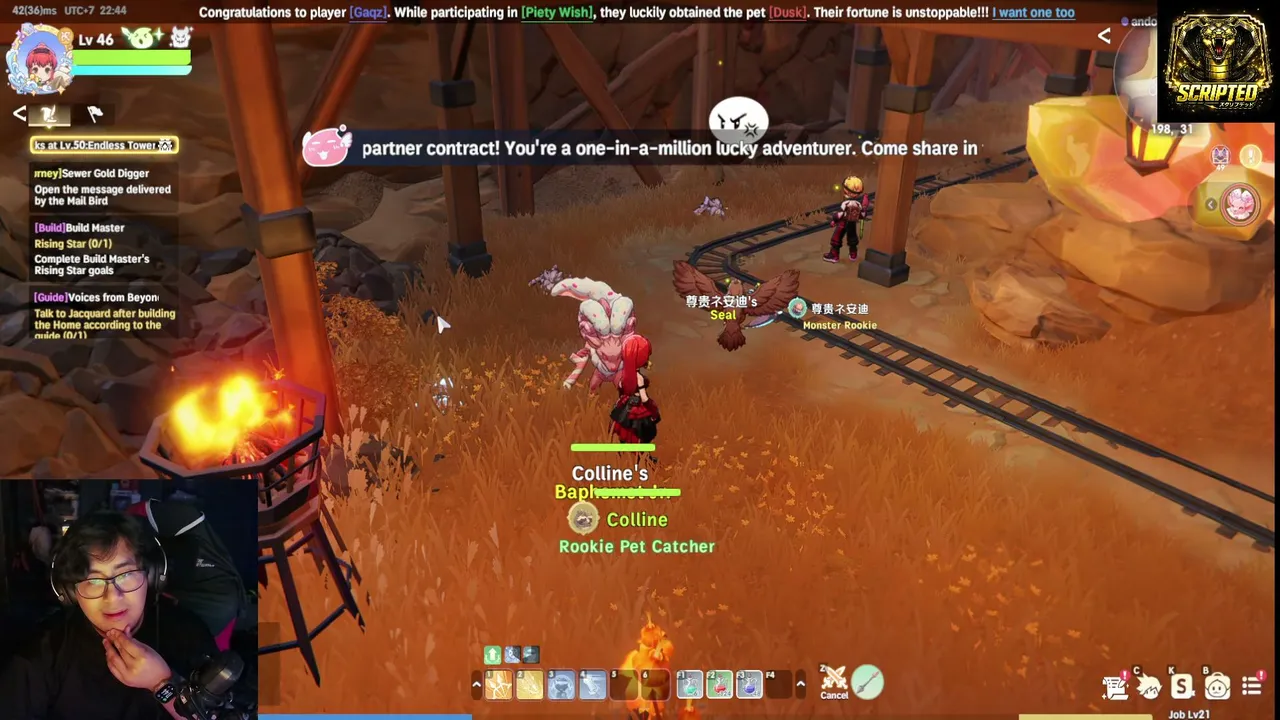 Ragnarok New World Streamer