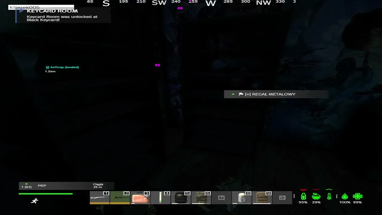 DAYZ