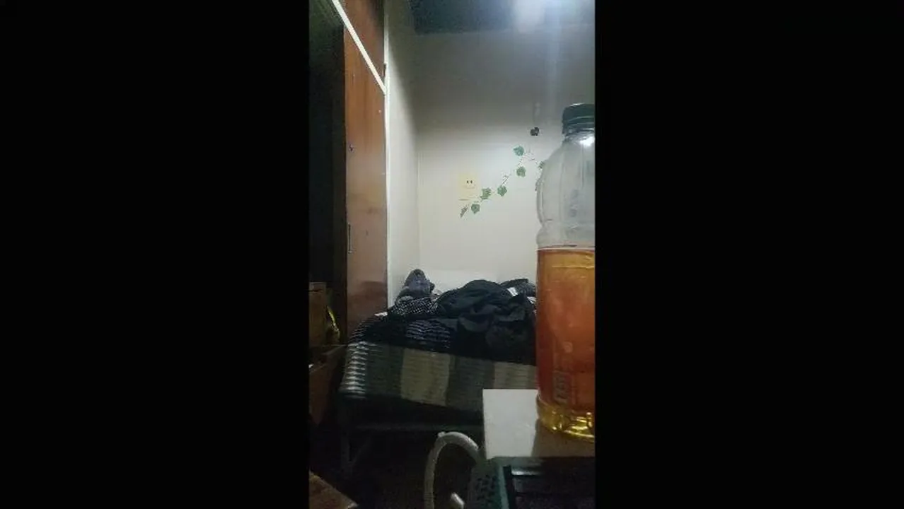 My first stream.