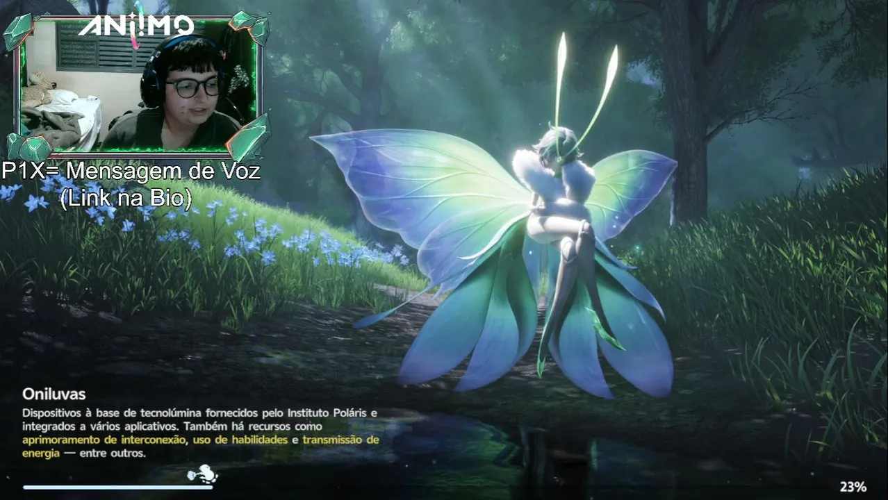 Conferindo novo jogo- Aniimo