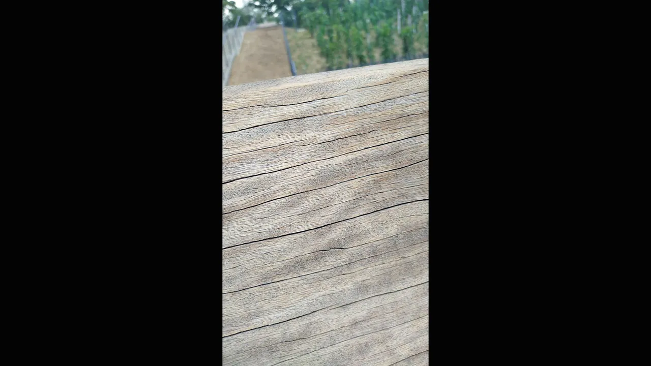 Ptej se na co chc÷š KDO NEZDRAVI JE MRDKA Hablo espanol but my english is horible mtfkrs