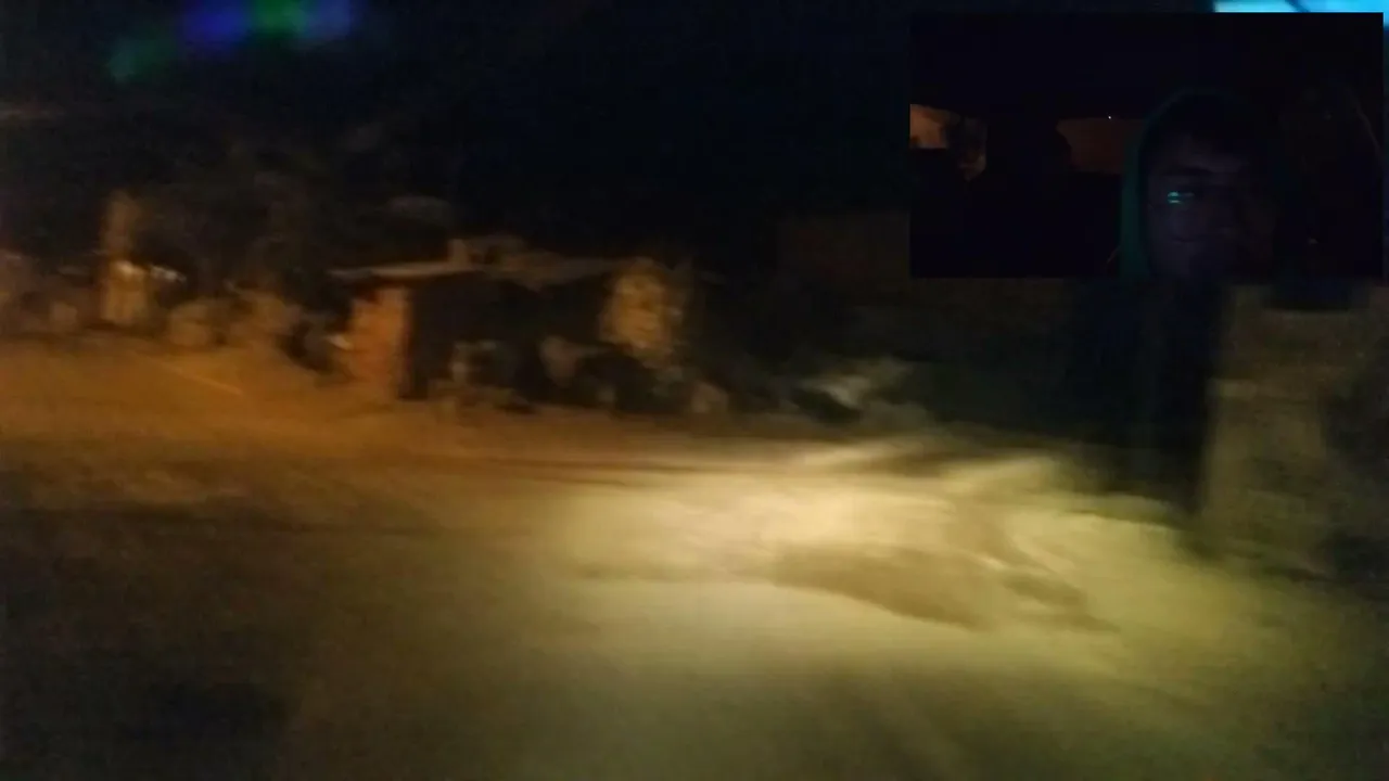 taxi fake