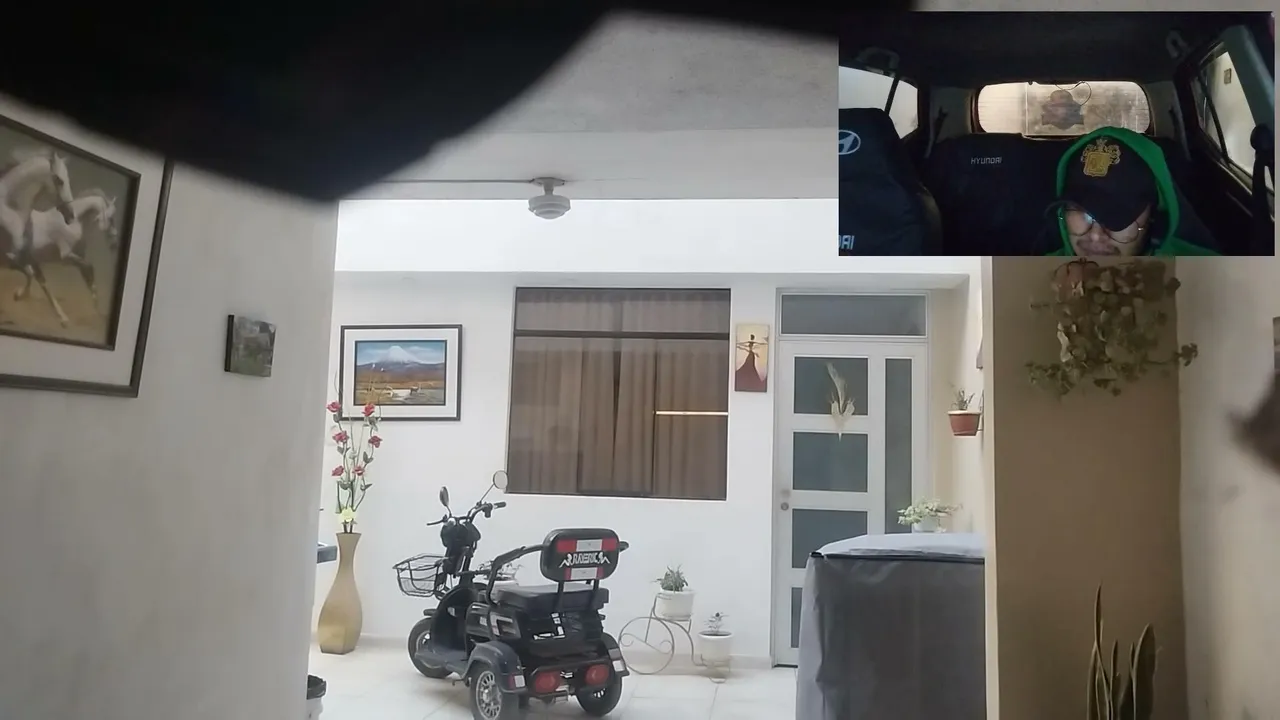 taxi fake