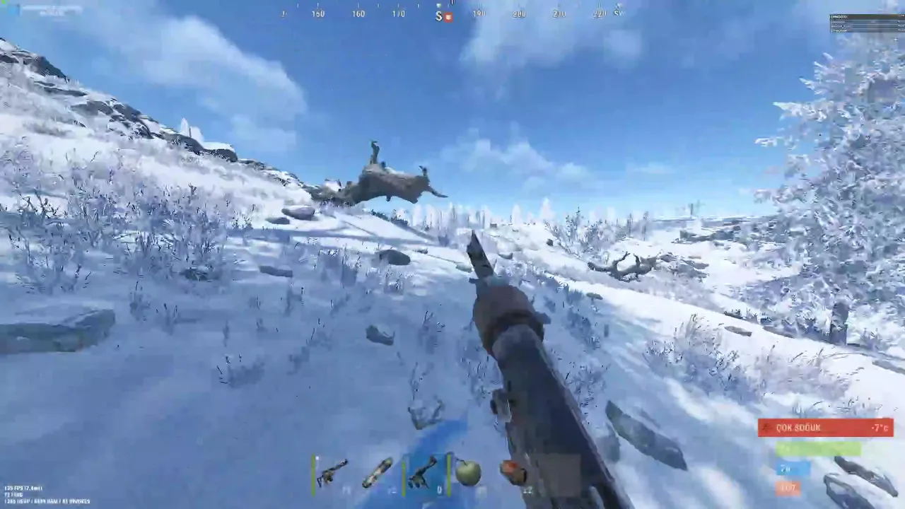 rust solo