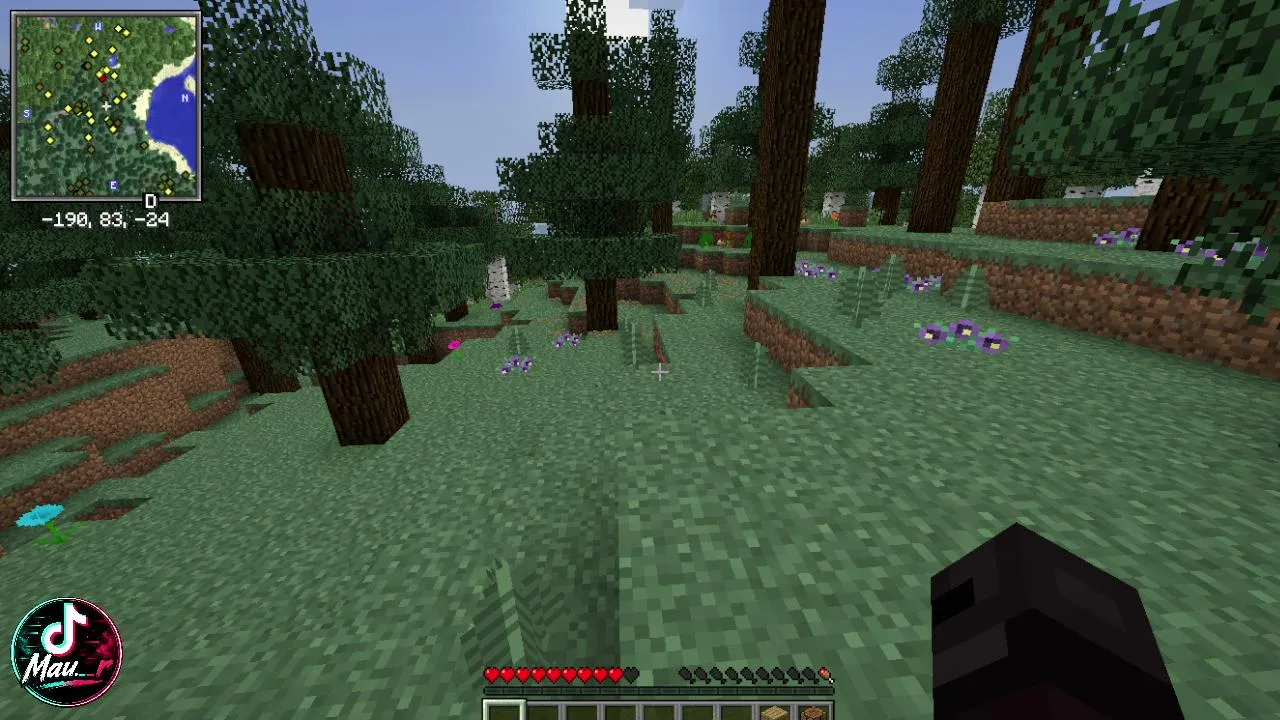 minecraft troll
