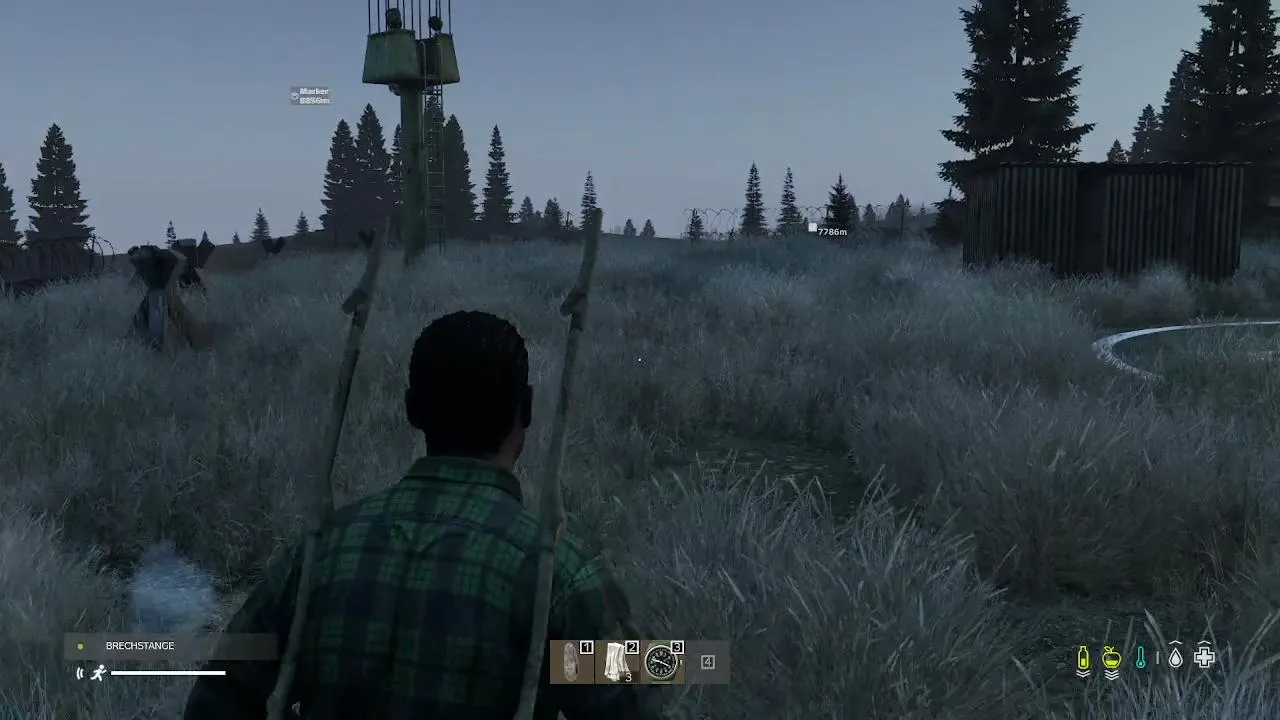 DAYZ