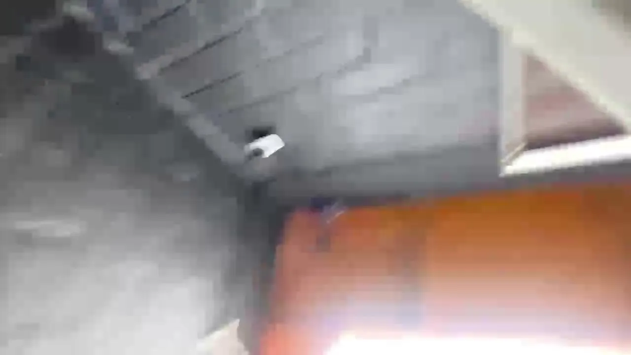 un dia en la barber