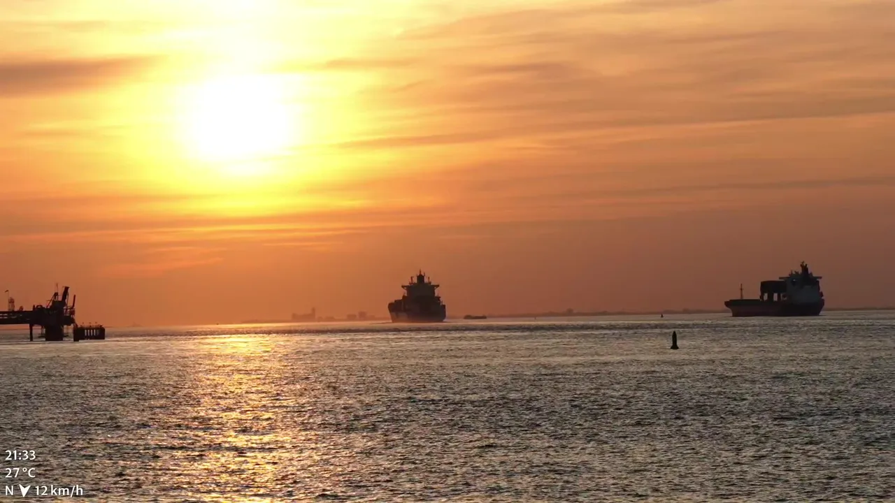 🚢 Hot Ship spotting at Westerschelde, NL | July 9th, 2026