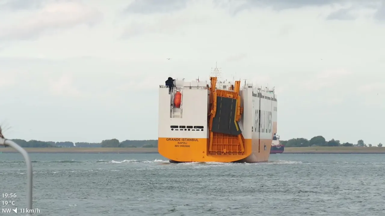 🚢 Ship spotting at Westerschelde, NL