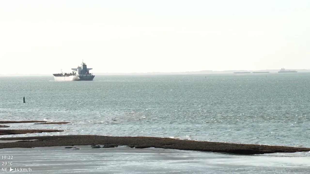 🚢 Cargo ship spotting at Westerschelde, NL