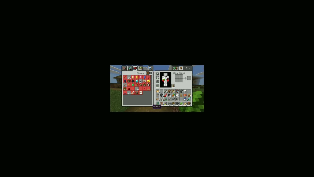 Minecraft oynuyoruz!