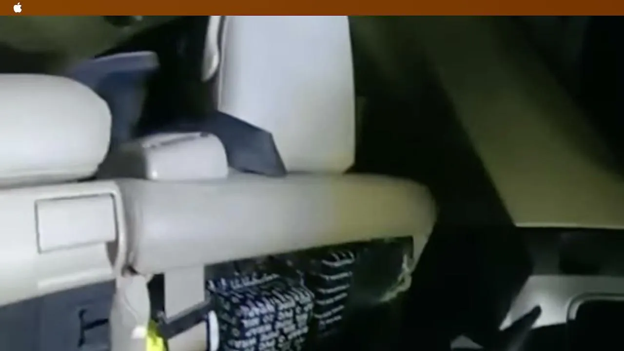 24 hour stream