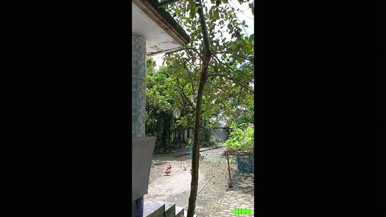 My,Home