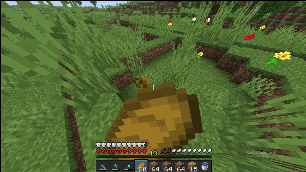Minecrfat Hardcore Öldünçık
