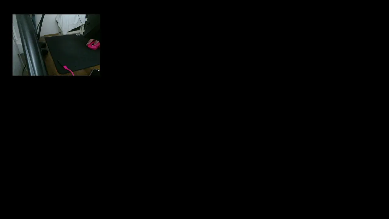what doing life | games !pc !mouse !rank !sens