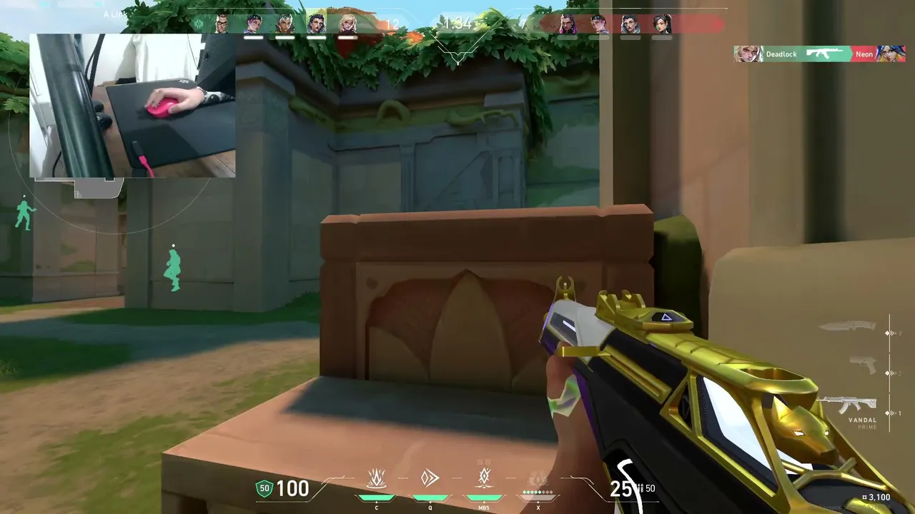 what doing life | smurp games !pc !mouse !rank !sens
