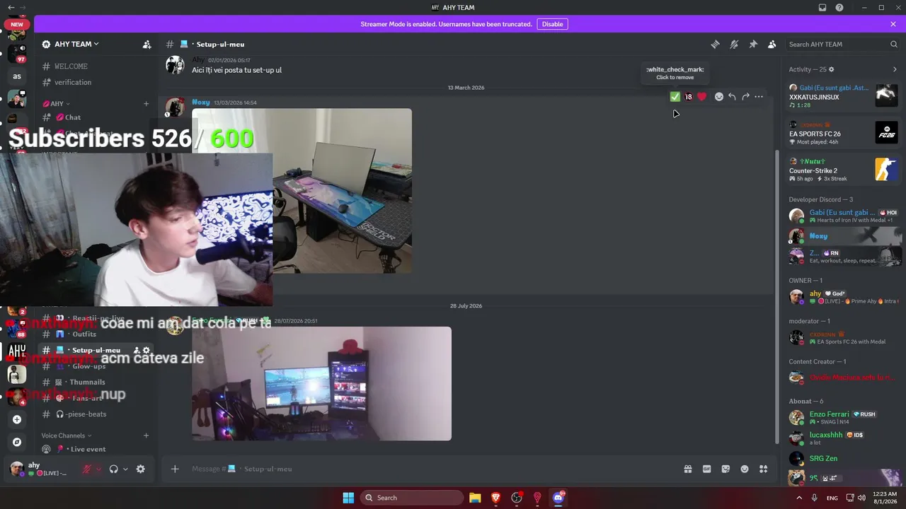 My first stream.