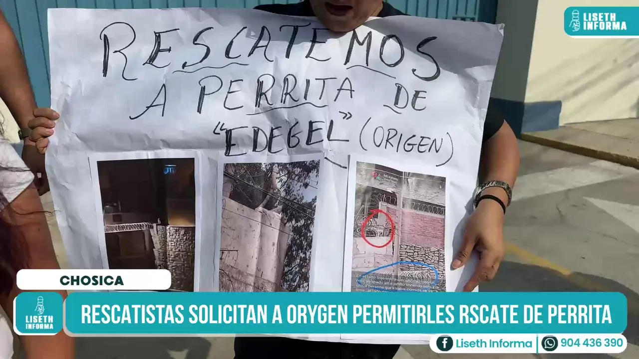 RESCATISTAS SOLICITAN A ORYGEN PERMITIRLES RSCATE DE PERRITA