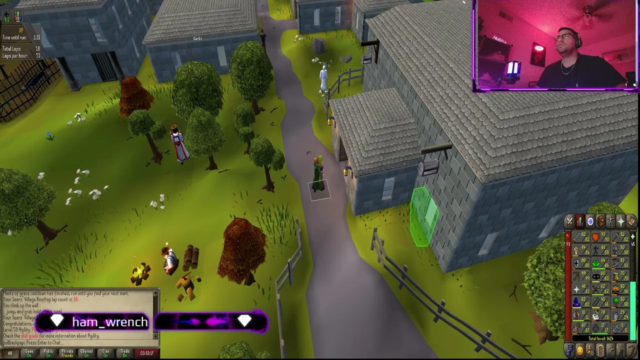 Wildy Agility Course FTW