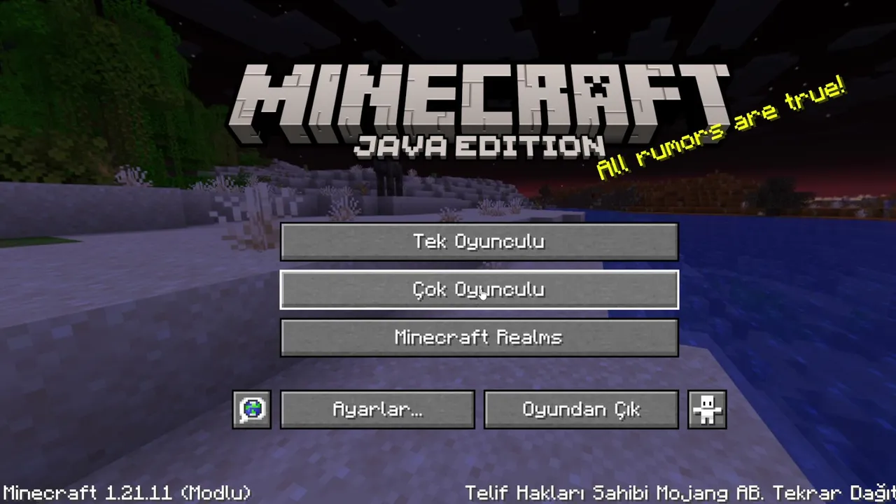 minecraft oynuyoruz